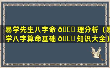 易学先生八字命 🍁 理分析（易学八字算命基础 🐎 知识大全）